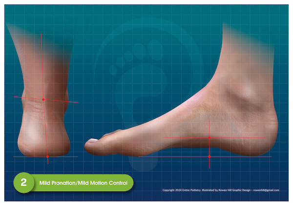 Mildly Pronated Feet - View Podiatrist Recommended Mild Motion Control Shoes